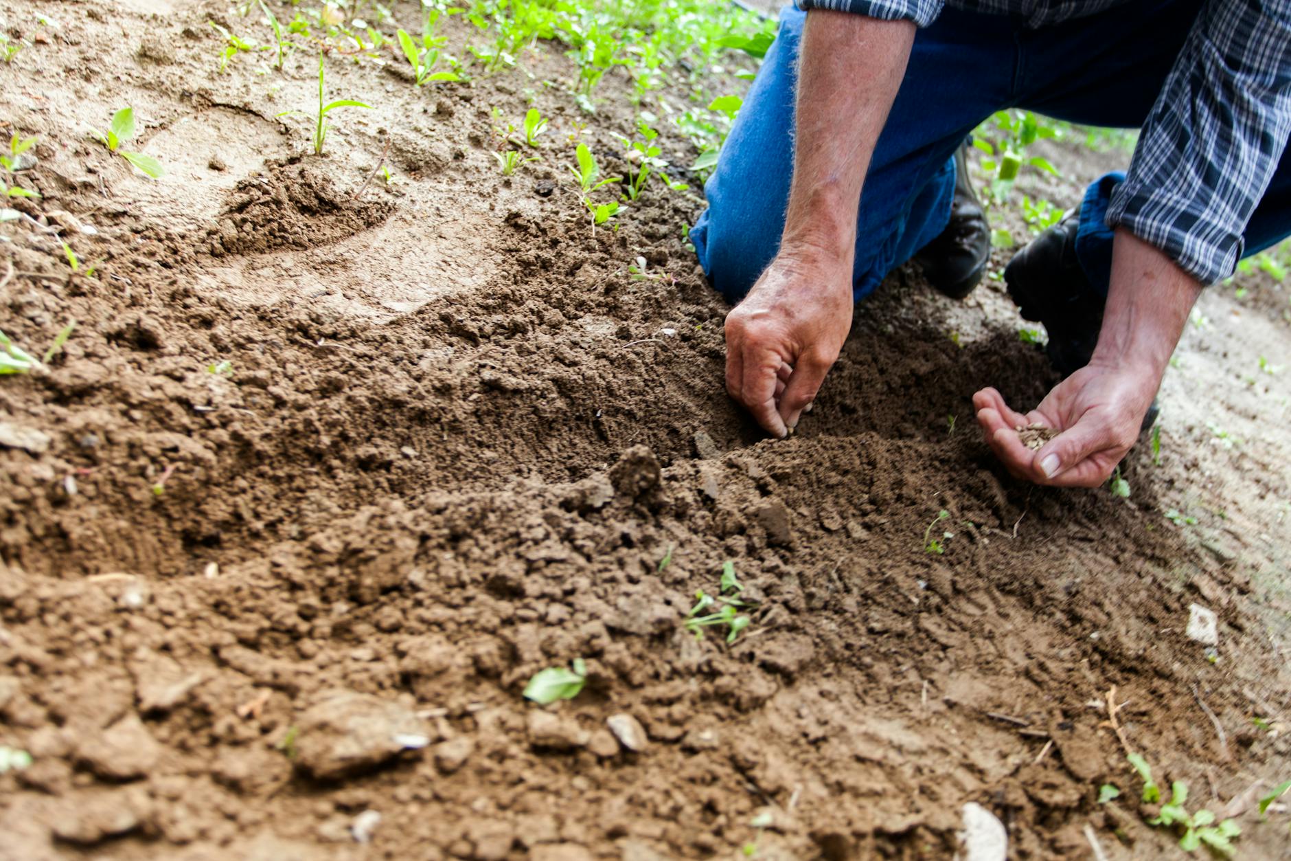 Tragédie dans l’Aisne : quand le travail des jeunes en milieu agricole devient un risque mortel