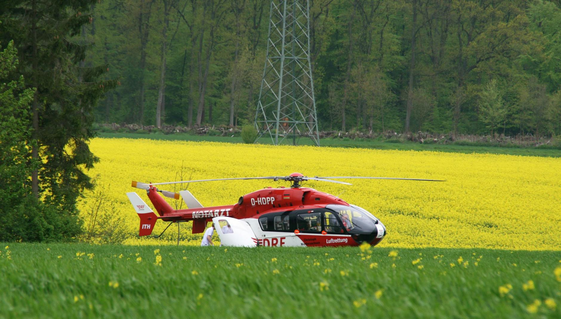 red and white helicopter parked on flower field